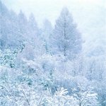 कैसे सर्दियों तस्वीर? कैसे सर्दियों तस्वीर?