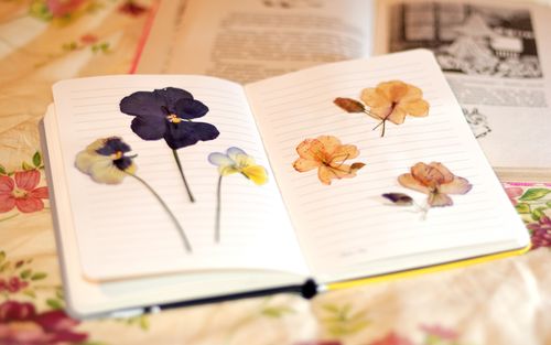कैसे एक herbarium के लिए फूलों को शुष्क करने के लिए