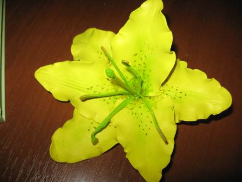 फ़िलिमा से लिली