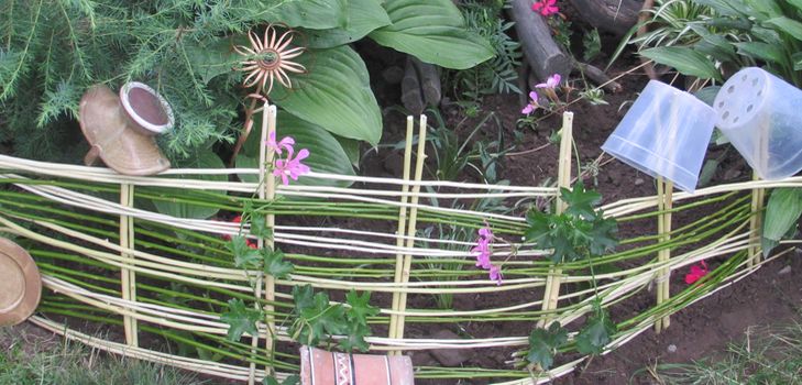 अपने स्वयं के हाथों से बेल से फूलदान करें