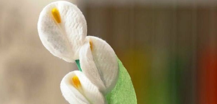 फोटो के साथ कपास डिस्क मास्टर वर्ग से माँ के फूलों को उपहार अपने स्वयं के हाथों से कपास के ऊन से फूल