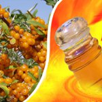 बालों के लिए सागर-हिरन का तेल बालों के लिए सागर-हिरन का तेल