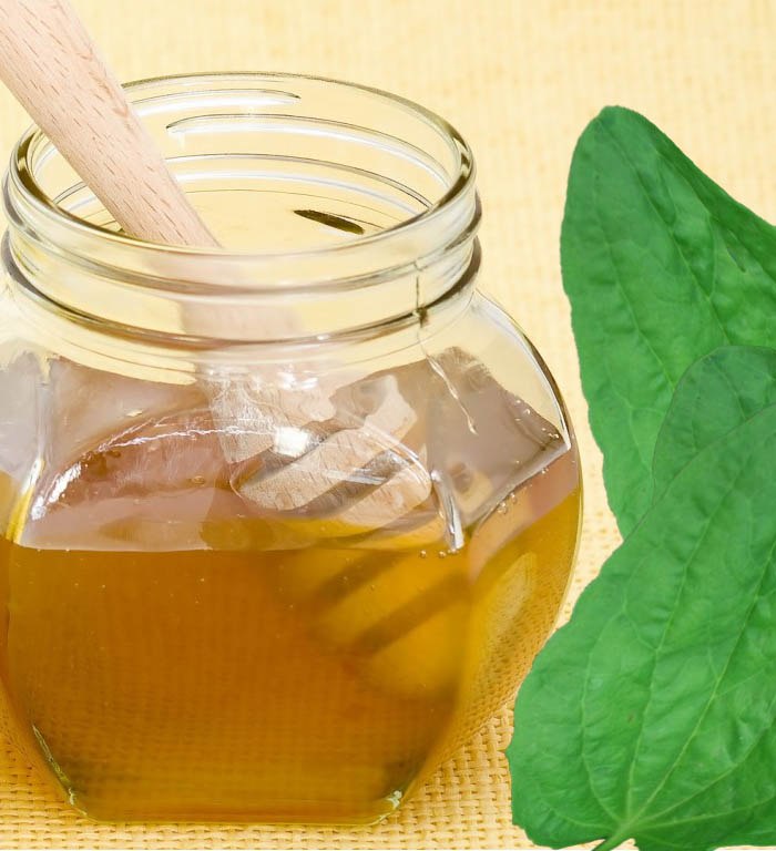 लोक उपचार के साथ गैस्ट्रिक अल्सर का उपचार