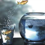 सुविधा क्षेत्र: इसे कैसे विस्तारित करें?