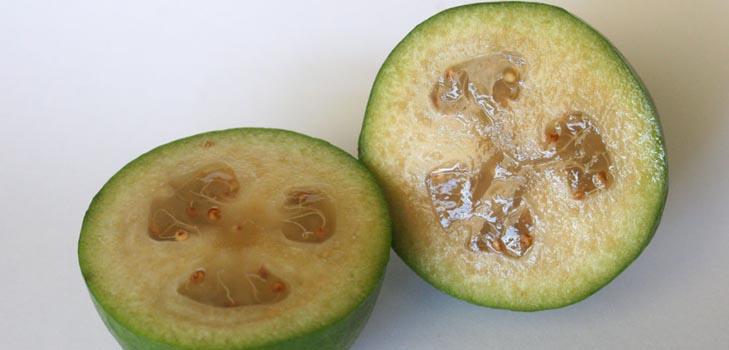 Feijoa - उपयोगी गुण, लाभ और feijoa की हानि