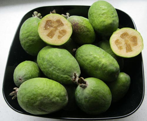 Feijoa - उपयोगी गुण, लाभ और feijoa की हानि
