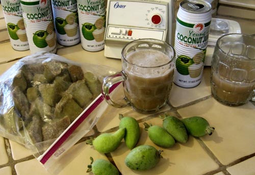 Feijoa - उपयोगी गुण, लाभ और feijoa की हानि