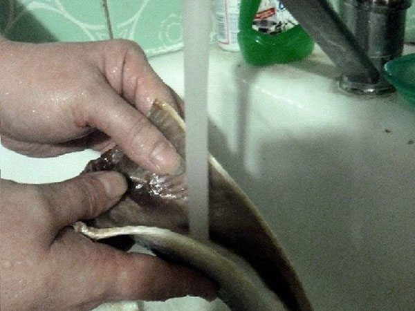 कैसे ठीक से और जल्दी से हड्डियों से हेरिंग काट