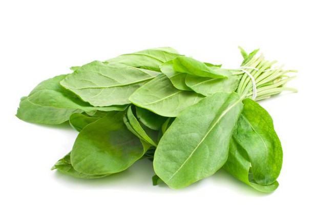कैसे सर्दियों के लिए sorrel खरीद करने के लिए?