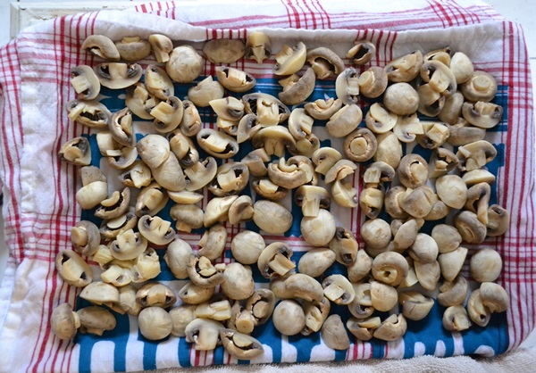 सर्दियों के लिए नमक मशरूम कैसे करें