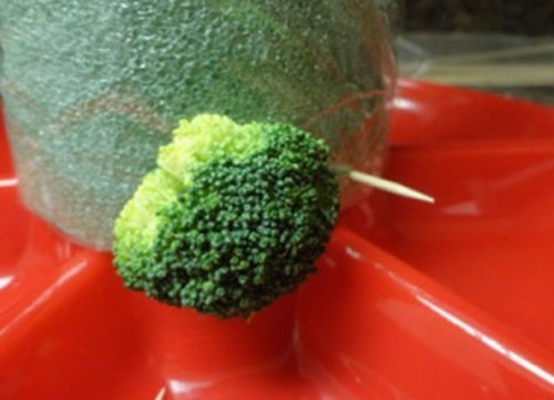  Inflorescences पर गोभी को अलग करें