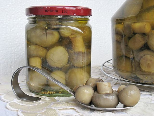 सर्दियों के लिए मसालेदार champignons, क्लासिक नुस्खा सर्दियों के लिए मसालेदार champignons, क्लासिक नुस्खा