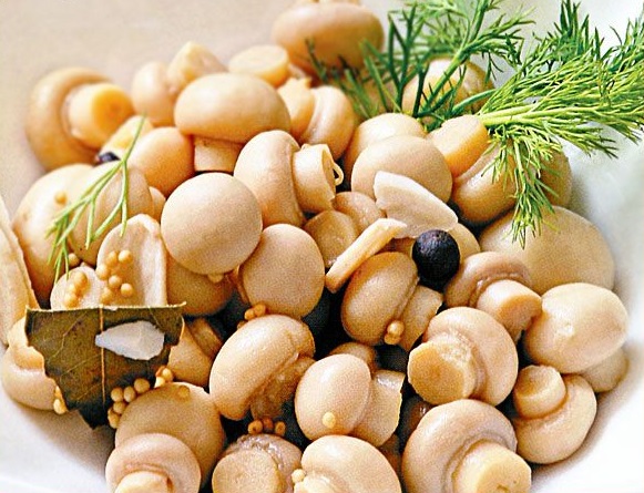 शराब के लिए डिब्बाबंद Champignons, स्वादिष्ट नुस्खा शराब के लिए डिब्बाबंद Champignons, स्वादिष्ट नुस्खा