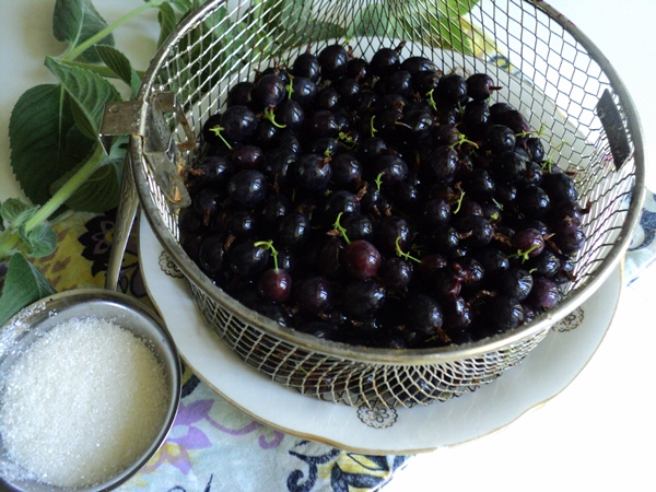 शर्बत के रूप में काले currant को फ्रीज कैसे करें