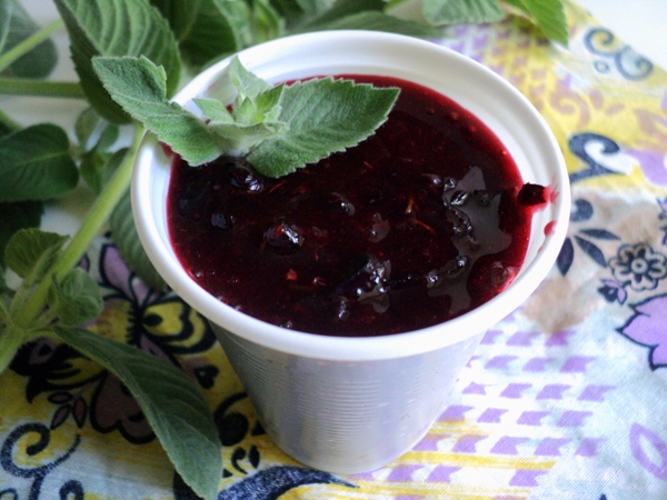 शर्बत के रूप में काले currant को फ्रीज कैसे करें