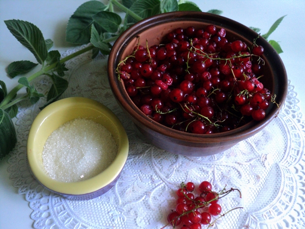लाल currants फ्रीज कैसे करें