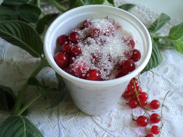 लाल currants फ्रीज कैसे करें