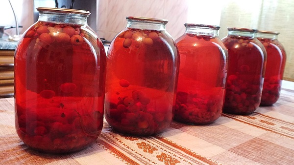 Chokeberry ashberry से अवनत करें