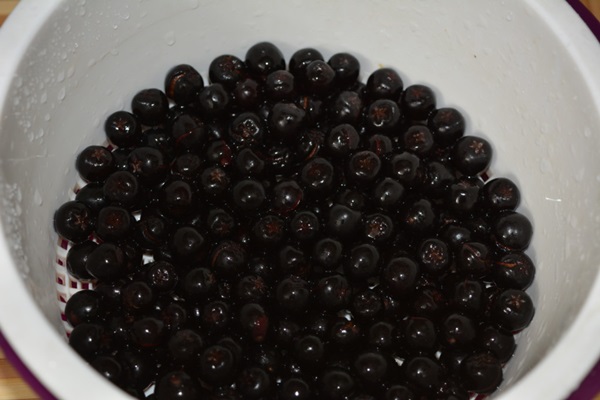 Chokeberry ashberry से अवनत करें