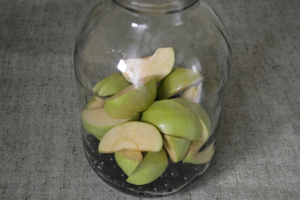 Chokeberry ashberry से अवनत करें