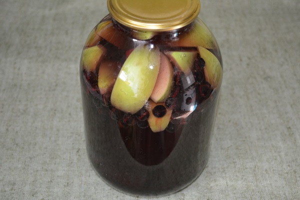 Chokeberry ashberry से अवनत करें