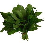 डिब्बाबंद sorrel