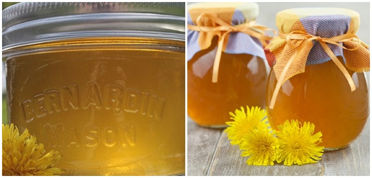 साइट्रिक एसिड और एसिड के बिना dandelions से जाम और शहद