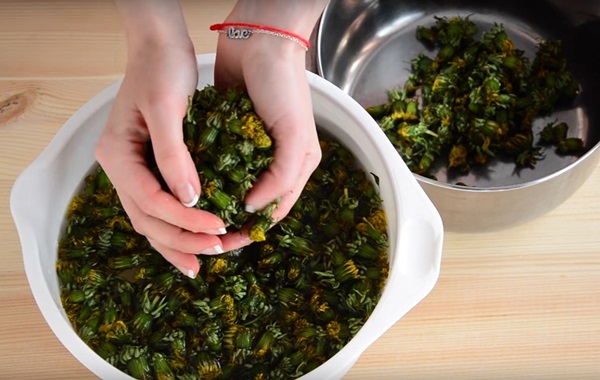साइट्रिक एसिड और एसिड के बिना dandelions से जाम और शहद