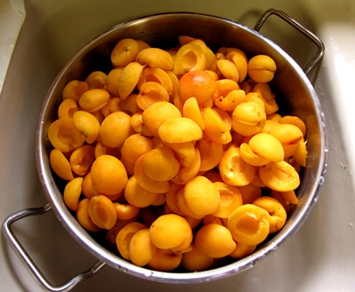 सर्दियों के लिए खुबानी से बिलिट्स