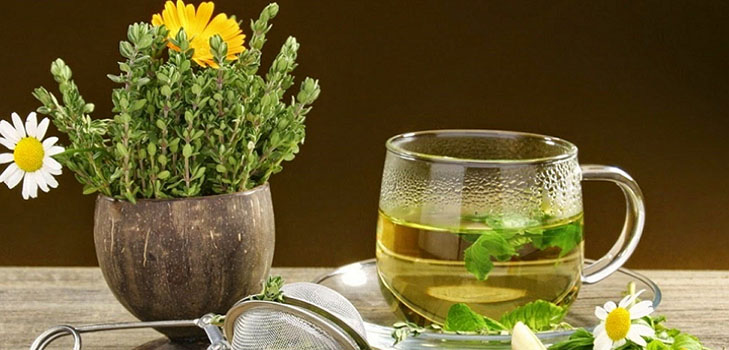 Phytoalchemia: सौंदर्य और स्वास्थ्य के लिए जड़ी बूटियों