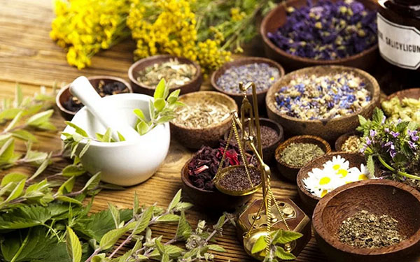 Phytoalchemia: सौंदर्य और स्वास्थ्य के लिए जड़ी बूटियों