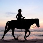 हिप्पotherapy: पुनर्वास की एक व्यापक विधि हिप्पotherapy: पुनर्वास की एक व्यापक विधि