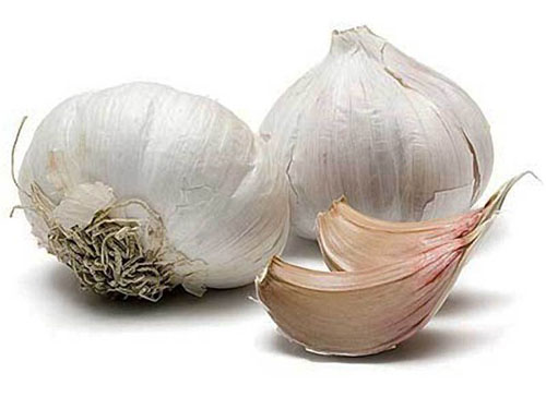 वासोडिलेटर निधि